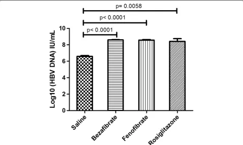 Fig. 3 The alternation of HBV replication intermediates in mouse models after bezafibrate treatment