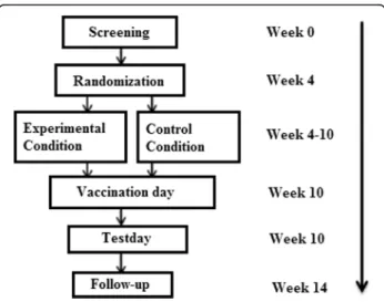 Fig. 1 Flowchart of the study design