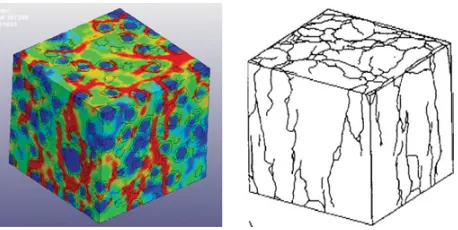 Figure 4. ITZ layer; left = 3D view, right = a plane cut view.