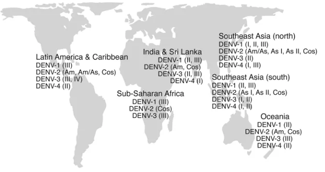 Figure 4Global distribution of DENV. The broad-scale 