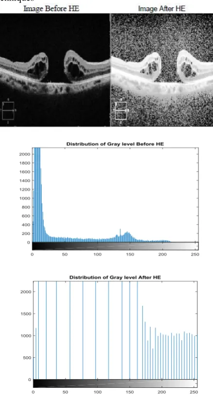 Fig. 2. Result of Histogram Equalization