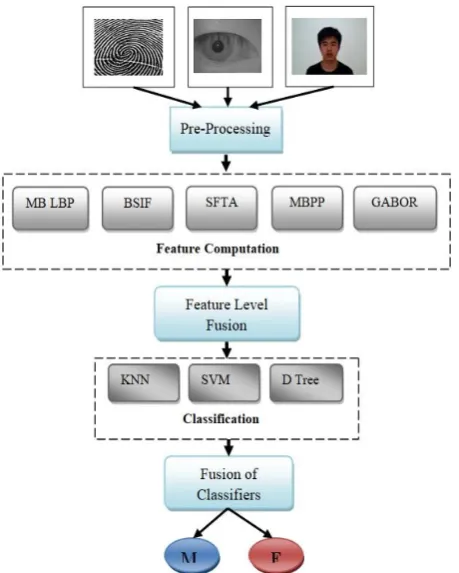 Figure 1: Schematic representation Proposed Methodology 