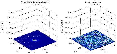 Fig.16 Modified Bispectrum Map of Airflow Process for External Disturbance (Max: Bicoherence = 0.1925)  