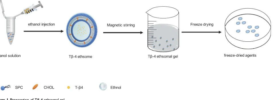 Figure 1 Preparation of TAbbreviation:β-4 ethsomal gel. CHOL, cholesterol.