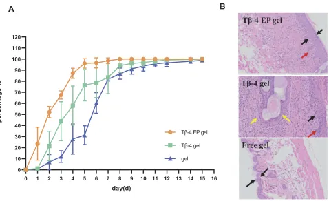 Table 1 The Irritation Scores of Gels to the Rabbit Skin After Administration of 24h and 7 Days