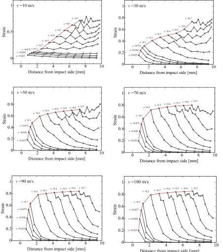 Figure 5. The deformation rate dependence (v = 10–100 m/s) of the macroscopic one-dimensional strain distribution in the 10 × 10 ×10 mm3 model