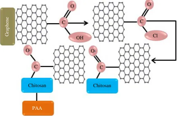Figure 1. The reaction scheme for synthesis of GE-chitosan-PAA. 