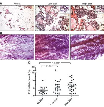 Figure 2Six1 overexpression leads to hyper-