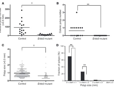 Figure 4Effect of intestine-specific Erbb3 deficiency on ApcMin tumor development. (A) Intestinal macroadenoma multiplicity in ApcMin mice