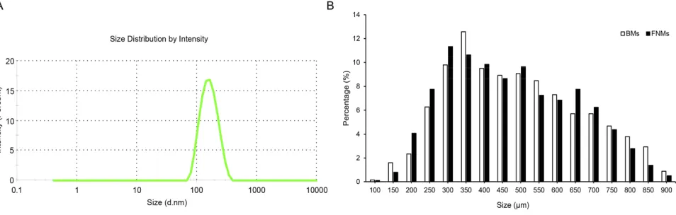Figure 2 Morphology of microspheres.Notes: BMs under optical microscope (A); FNMs under optical microscope (B); BMs under ESEM (C); FNMs under ESEM (D); FNMs under TEM at a magniﬁcation of 8 k(E) and 50 k (F).Abbreviations: BMs, blank polymer microspheres; FNMs, magnetic polymer microspheres; ESEM, environmental scanning electron microscope; TEM, transmissionelectron microscopy.