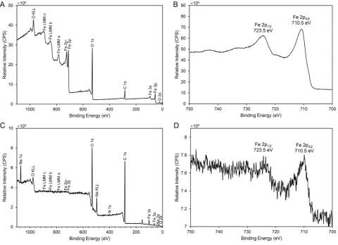 Figure 6 The XPS spectra of FNs and FNMs.Abbreviations:Notes: XPS survey spectrum (A) and Fe 2p XPS spectrum (B) of FNs; XPS survey spectrum (C) and Fe 2p XPS spectrum (D) of FNMs