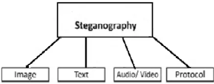 Fig. 1. Types of steganography 