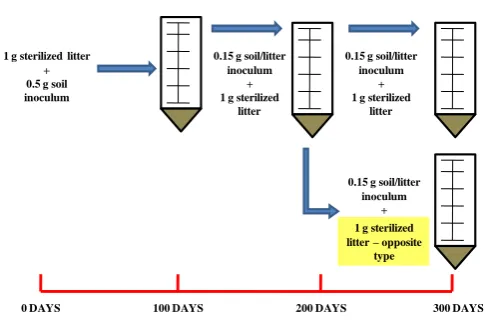 Fig. A1. Illustration of the experimental design.