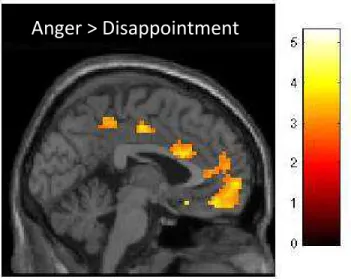 Figure  3.3.  Whole  brain  results  for  regions  which  were  active  in  the  anger  > 