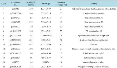 Table 1. Identification of differentially expressed proteins in leaves of tolerant versus sensitive cotton seedlings treated with salt stress