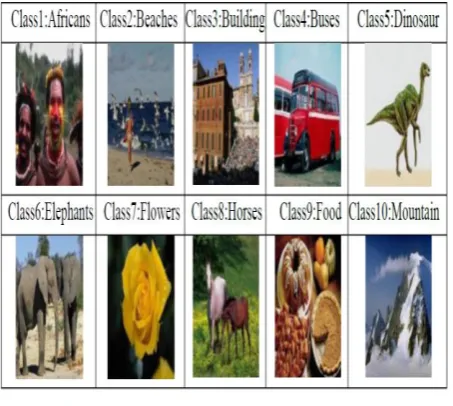 Fig. 13.  The test images (query images). The query assessment image number 421.jpg of category 