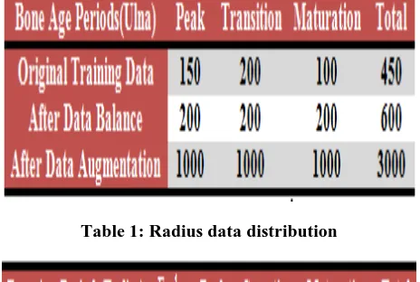 Table 1: Radius data distribution 