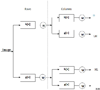 Fig .2: Discrete Wavelet Transform  