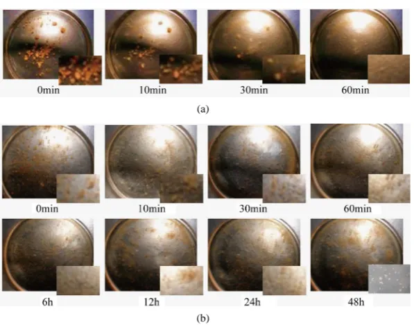 Figure 9. Transient features of ratios of mean diameters of micro-capsules.                                                