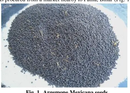 Fig. 1. Argemone Mexicana seeds The procured seeds were dried in the sunlight. Then the oil 
