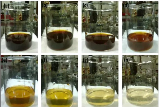 Fig. 4 P-AgNPs was deposited onto cotton fabric by PEM  process, (a) pure colloidal silver nanoparticle solution, (b) after 1st cycle, (c) after 2nd cycle, (d) after 4th cycle (e) after 6th cycle, (f) after 8th cycle, (g) after 10th cycle and (h) 12th afte