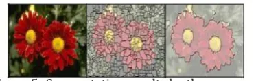 Figure 5: Segmentation results by the proposed algorithm 