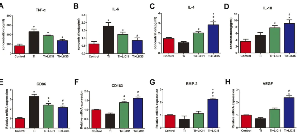 Figure 4 In vitro polarization of macrophage.PAbbreviations:Notes: (A) and (B) Representative histograms of ﬂow cytometry results after cultured for 4 days, percentage of CCR7 and CD206 positive cells, representing M1 or M2macrophages, respectively
