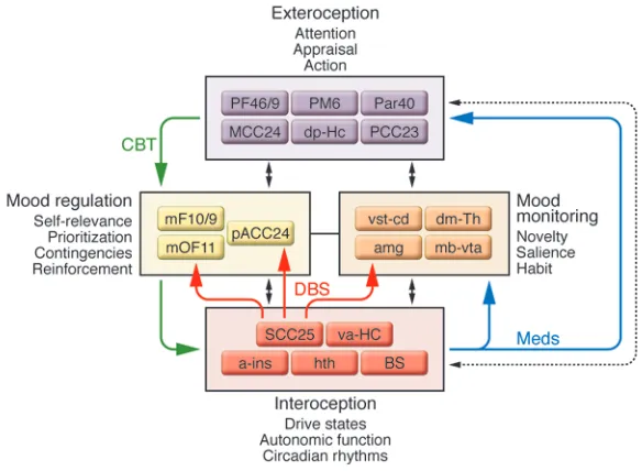 Figure 5Circuit model of MDD. Regions with known anatomical interconnections that show consistent changes across converging imaging experiments form the basis of this model