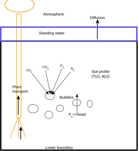 Fig. 1. Diagram showing the three major gas-transport pathwaysinvolved in the multi-substance CH4 model