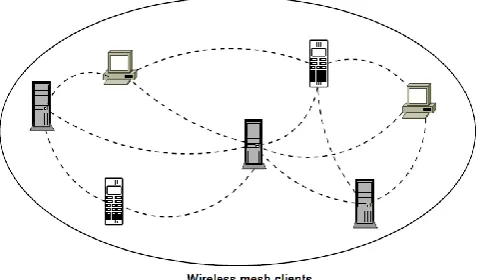 Fig 3: Hybrid WMNS 