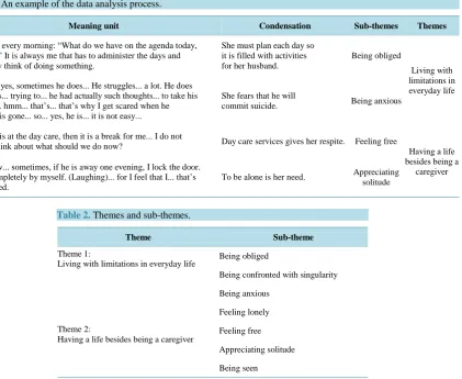 Table 1. An example of the data analysis process.                                                                