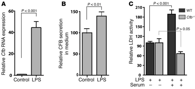 Figure 3Cfb is induced by LPS in cardiomyocytes. (A) LPS induces Cfb transcripts in neonatal cardio-myocytes