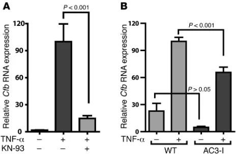 Figure 6artery, as described previously (3). Both male and female mice were infarct-TNF-ed and at 3 weeks after infarction, RNA was isolated from cardiac tissue α–mediated Cfb expression is regulated by CaMKII