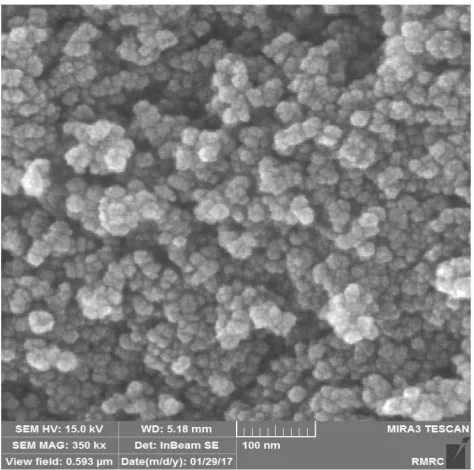 Figure 1 FE-SEM analysis of γ-Fe2O3.