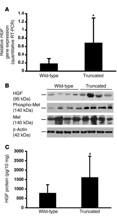 Figure 9Normal breast tissues with the truncated DATE variant show high 