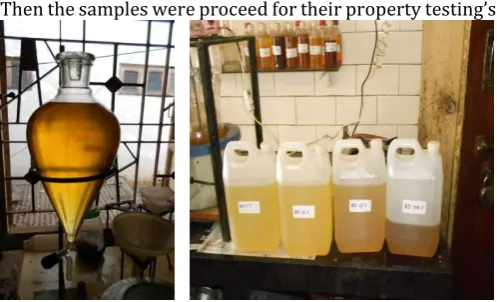 Fig -3: Pure biodiesel & Blends of Biodiesel 4.1 Seed characterization 