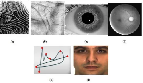 Fig. 1 Biometrics Traits: (a) fingerprint, (b) palm, (c) iris, (d) retina, (e) signature, (f) Face [2] 