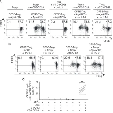 Figure 6PD-L1 blockade enhances IL-2–dependent proliferation of HCV-specific Tregs. (