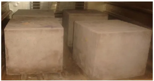 Fig -2b:  Cubes in oven. 