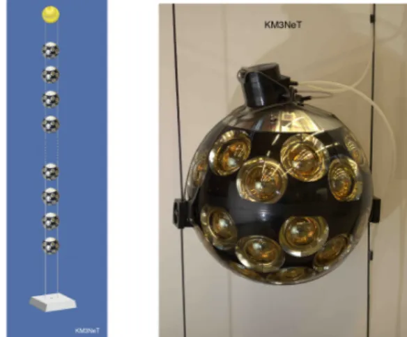Figure 3.2: Left: a schematical drawing of a detection string. The yellow sphere at the top is a buoy keeping two strings taut