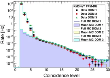 Figure 5.1: Rates of multifold coincidences in a time window of 25 ns for the 3 DOMs, compared to the expected Monte Carlo rates