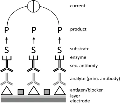 Figure 1. Schematic architecture and functionality of an electrochemical immunosensor