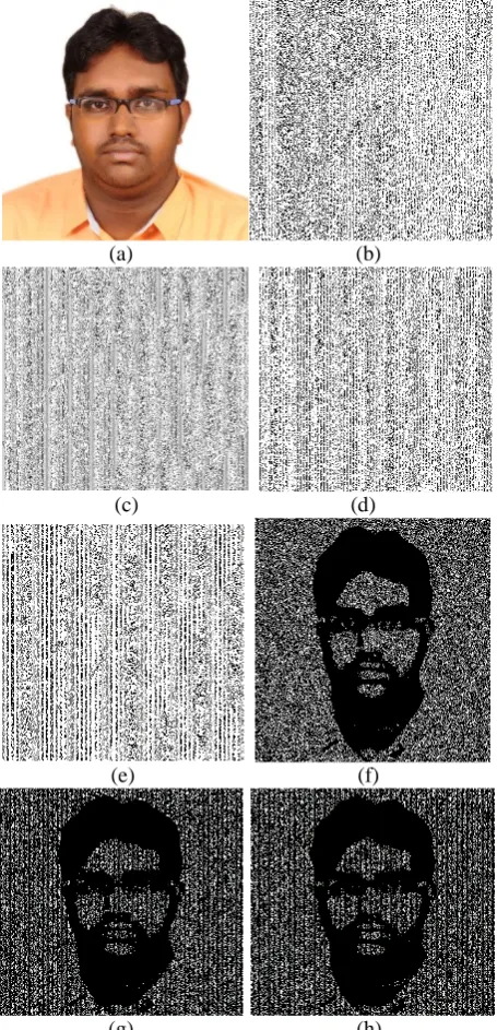 Fig. 12.  2-out-of-4 VCS  (a) Original image  (b) (m)                                  (n) Share1,(c) share2, (d) share3,(e) share4, (f) share1 