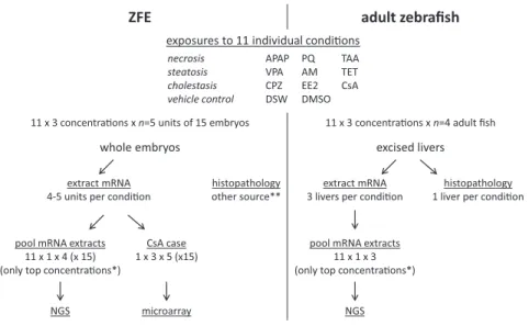 Figure 1  Study design for next generation sequencing analysis.