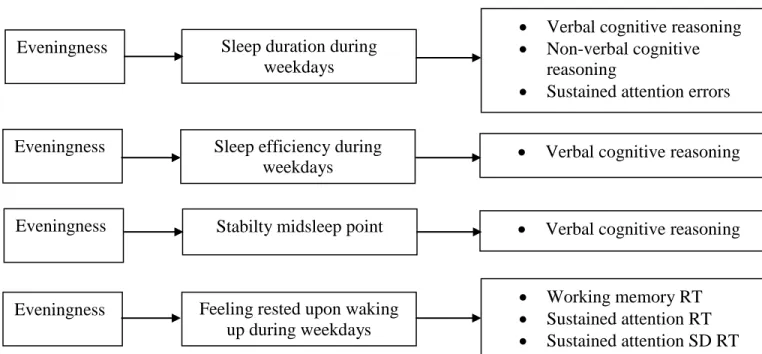 Figure 3. Significant mediation effects in the relation between eveningness and cognitive  functioning