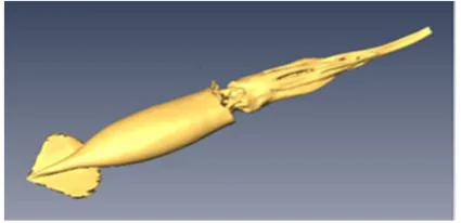 Figure 1. Dicom images obtained by ct scan. Above (30.-60.-90.-120.-150.-180.-210.-240.-270.-300