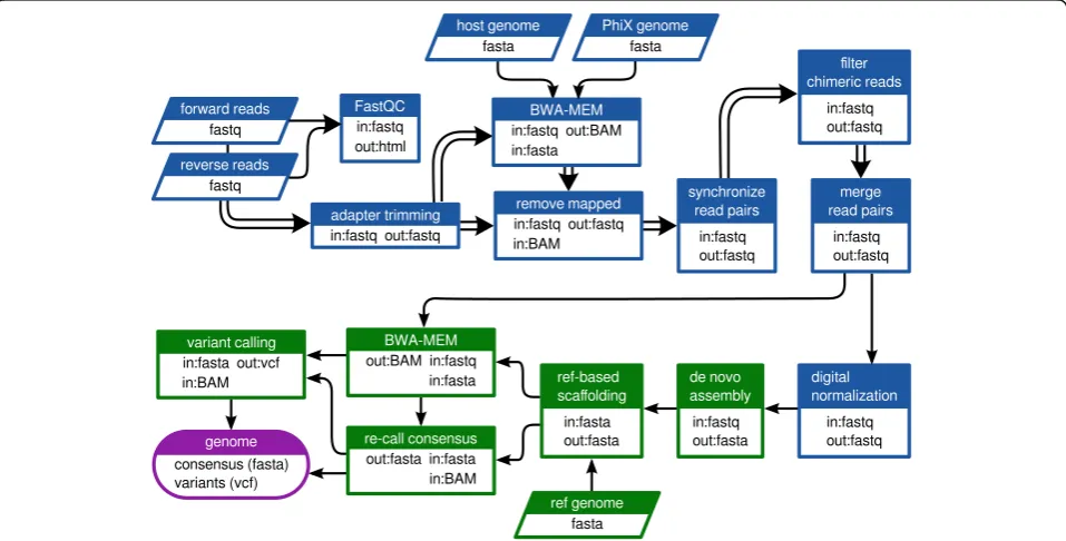 Fig. 1 Customized Galaxy workflow used in the current study. Double arrows indicate steps where the read pairs were processed in parallel.Blue shading indicates pre-processing steps; green shading indicates assembly/post-processing steps; output is shaded 