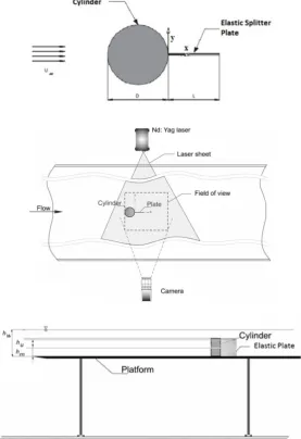 Figure 1. Schematic of the experimental system of set-up  and definition of the parameters: cylinder diameter D, length of elastic plate L, laser sheet height hL and free-stream velocity U