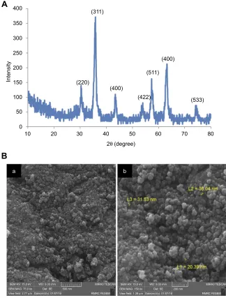 Figure 4, A and B shows two dimensional (2D) and threedimensional (3D) atomic force microscopy of quercetin-