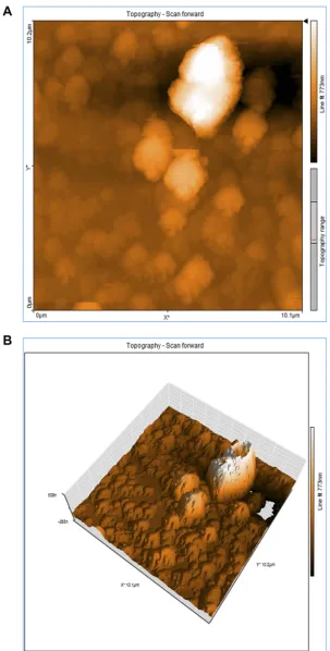 Figure 4 (Abbreviations:A) 2D and (B) 3D atomicforce microscopy of quercetin-loaded magnetic nanoparticles